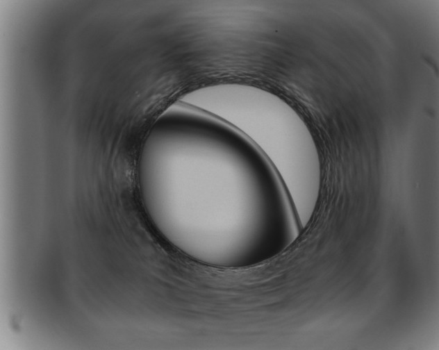X0000091880039200709051023