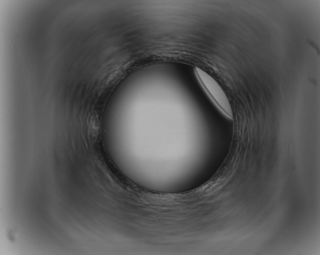 X0000091880040200709051023