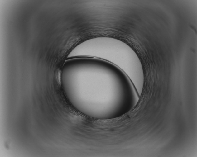 X0000091880041200709051023
