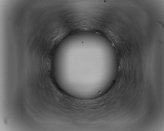 X0000091880043200709051023