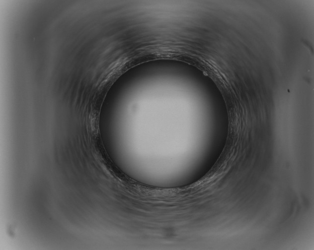 X0000091880044200709051023
