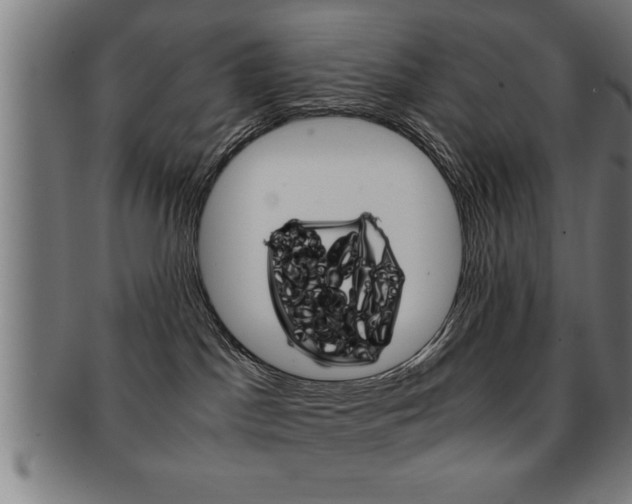 X0000091880045200709051023
