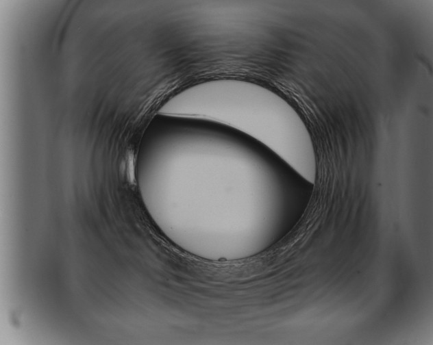 X0000091880046200709051023