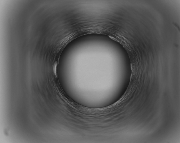 X0000091880047200709051023