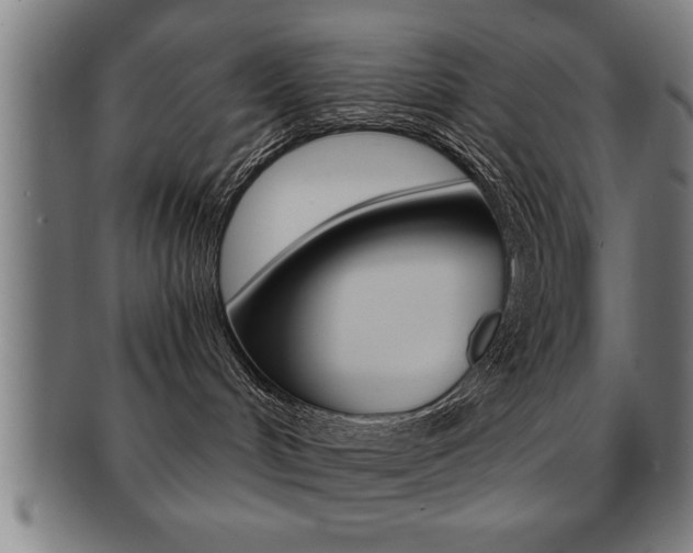 X0000091880048200709051023