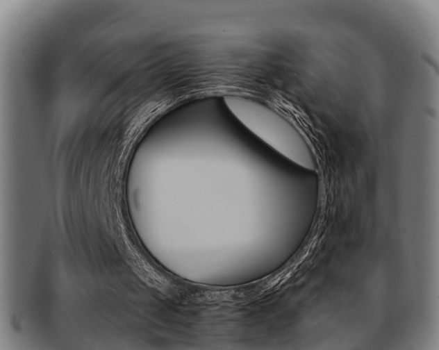 X0000091880049200709051022