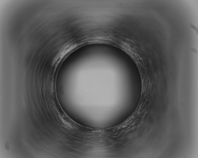 X0000091880050200709051022