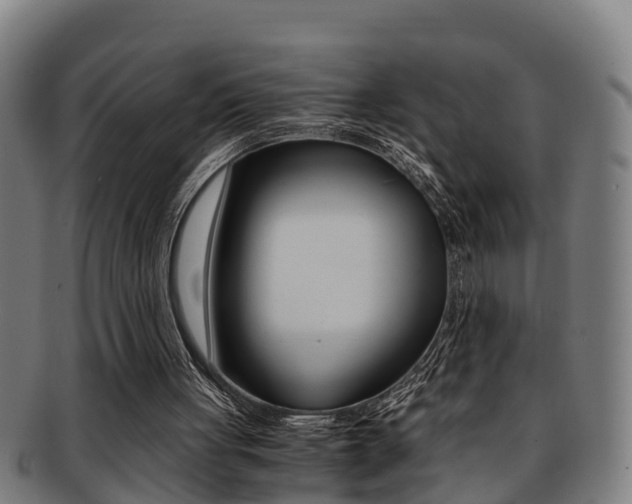 X0000091880051200709051022