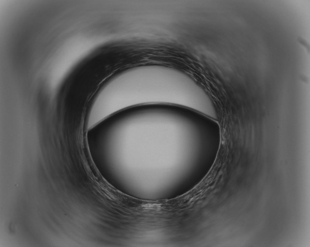 X0000091880052200709051022