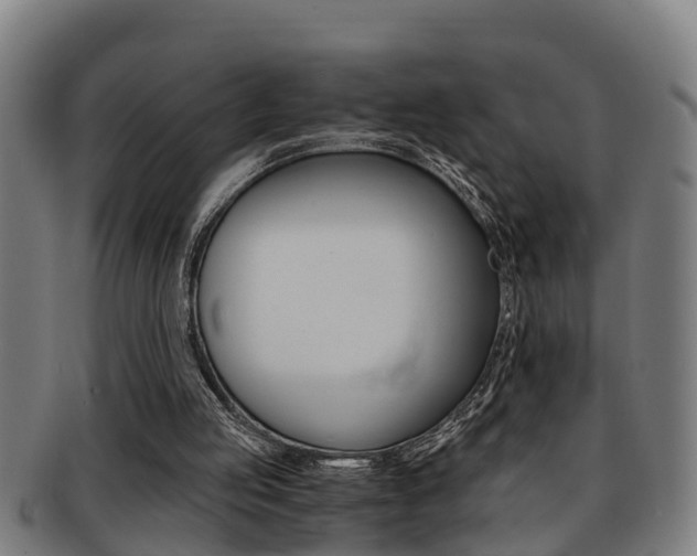X0000091880053200709051022