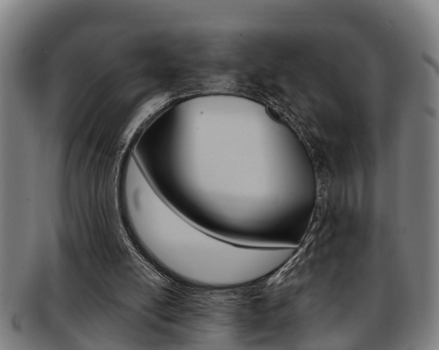 X0000091880054200709051022