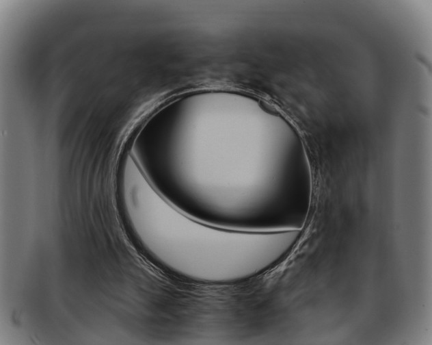 X0000091880055200709051022