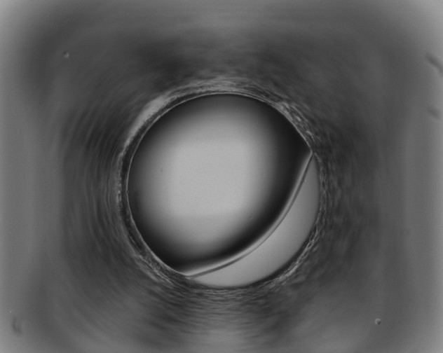X0000091880056200709051022