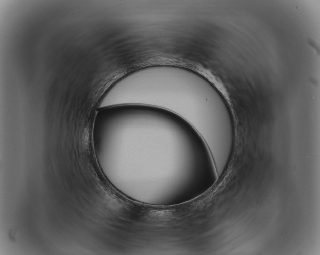 X0000091880057200709051022
