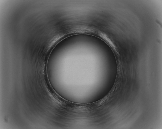 X0000091880058200709051022