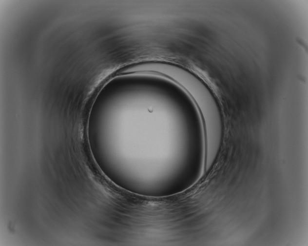 X0000091880060200709051022
