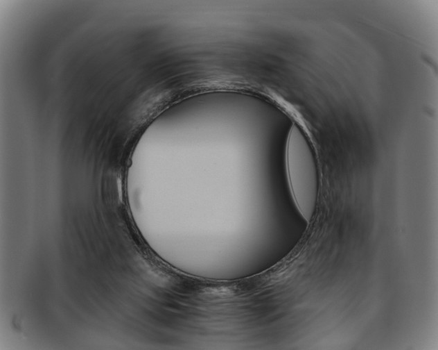 X0000091880061200709051022