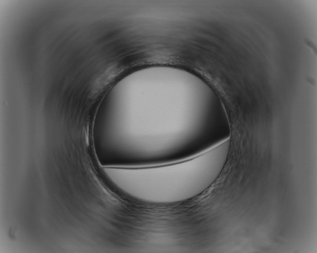 X0000091880062200709051022