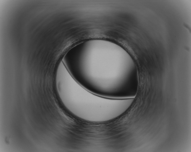 X0000091880063200709051022