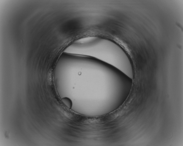 X0000091880065200709051022
