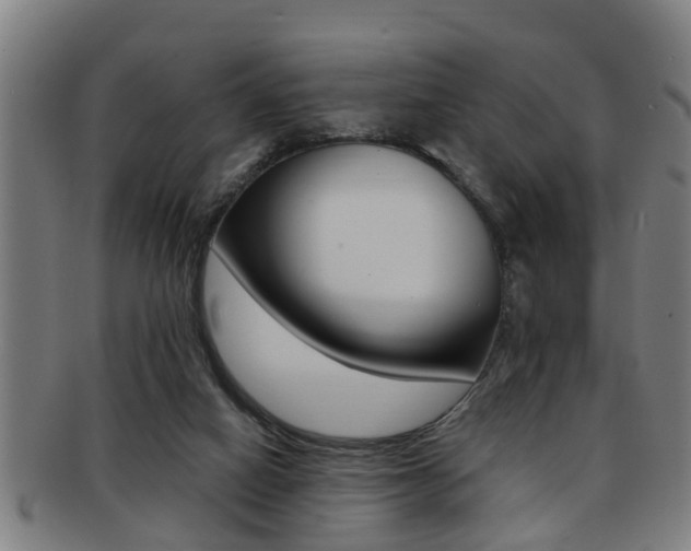 X0000091880066200709051022