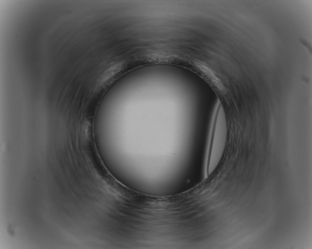 X0000091880071200709051022