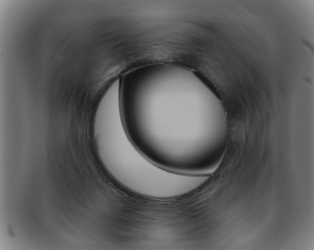 X0000091880072200709051022