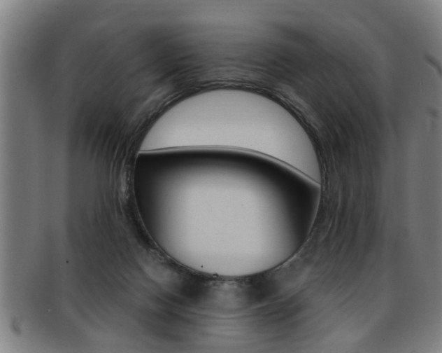 X0000091880074200709051022