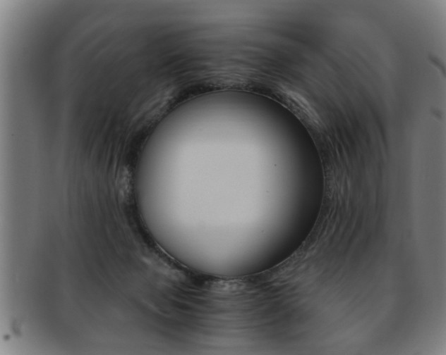 X0000091880077200709051023