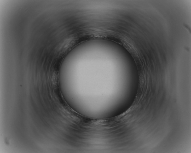 X0000091880078200709051023