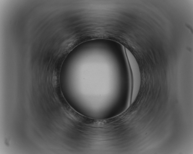 X0000091880080200709051023