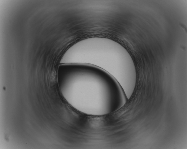 X0000091880081200709051023