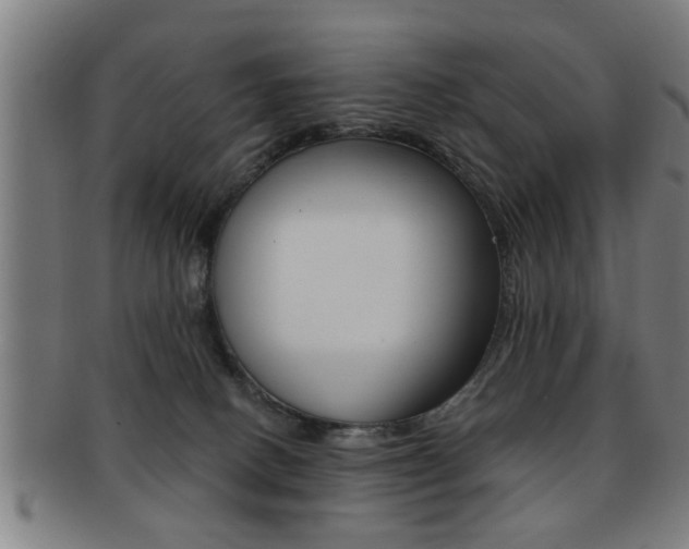 X0000091880082200709051023