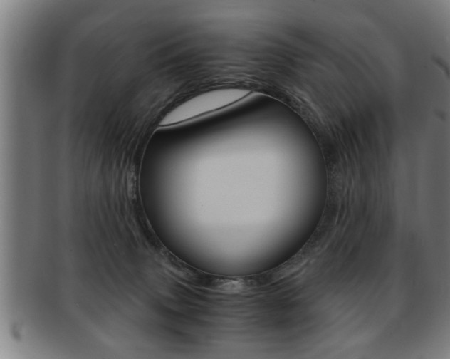 X0000091880083200709051023