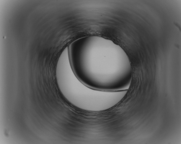X0000091880084200709051023