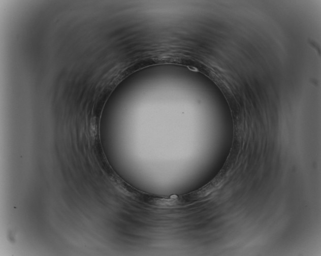 X0000091880085200709051023