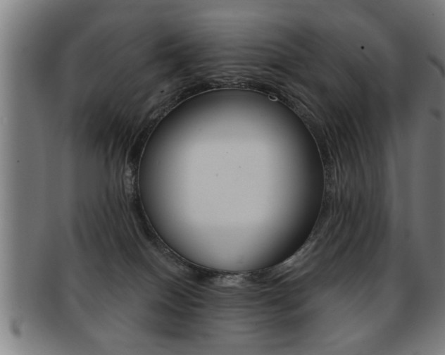 X0000091880086200709051023