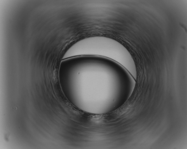 X0000091880088200709051023