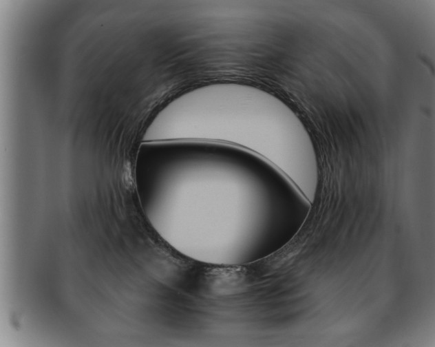 X0000091880089200709051023