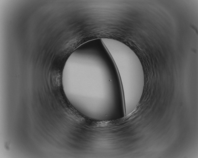 X0000091880090200709051023
