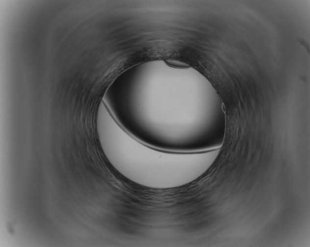 X0000091880091200709051023