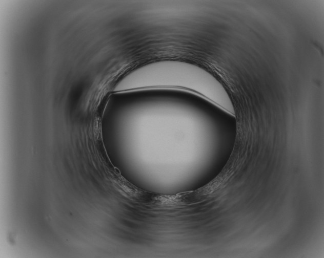X0000091880093200709051023