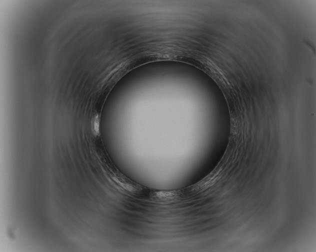 X0000091880095200709051023