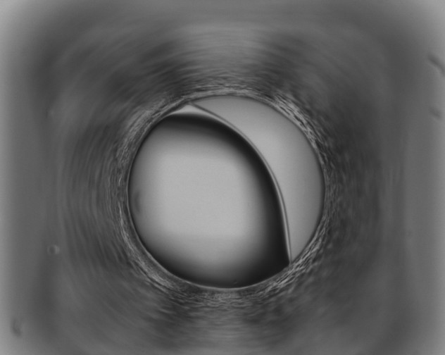X0000091880097200709051022