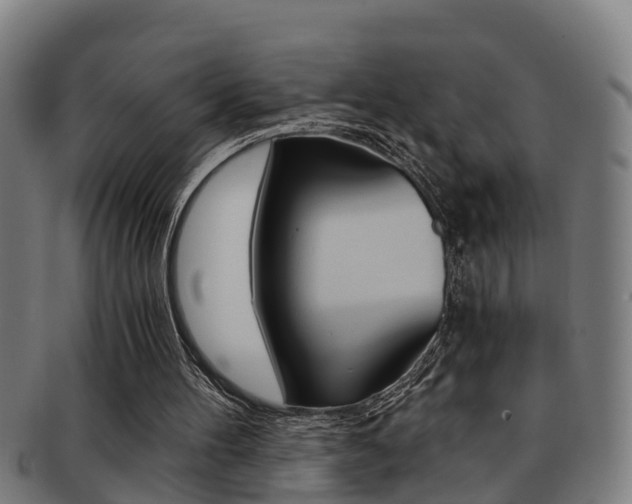 X0000091880100200709051022