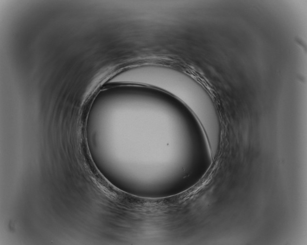 X0000091880101200709051022