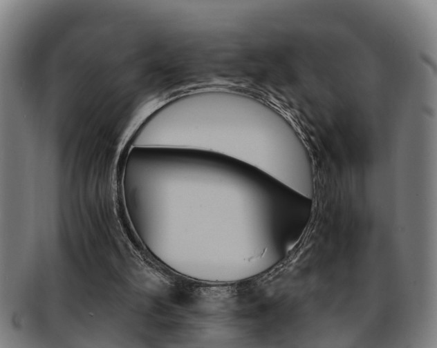 X0000091880102200709051022