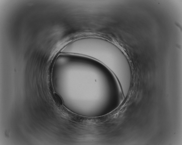 X0000091880103200709051022