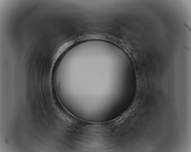 X0000091880104200709051022