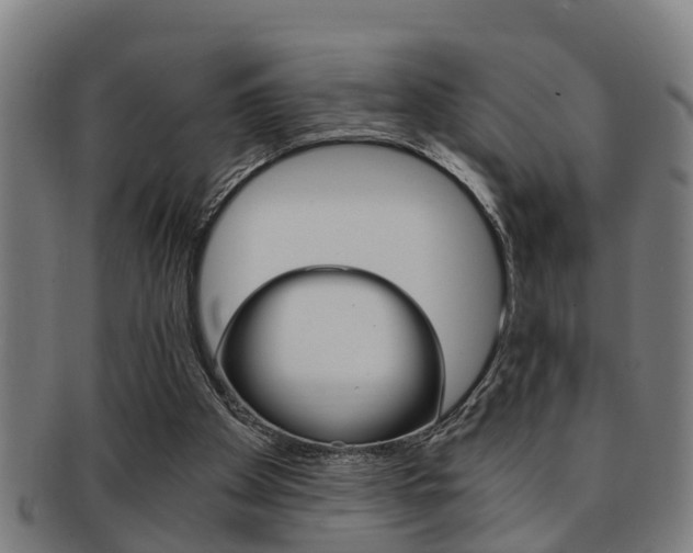 X0000091880105200709051022